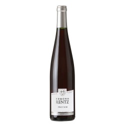Pinot Noir « tradition » Rentz