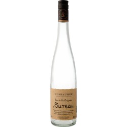 Eau-de vie de Sureau Noir