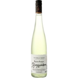 Liqueur de Gingembre