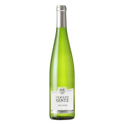 Sylvaner Vieilles Vignes