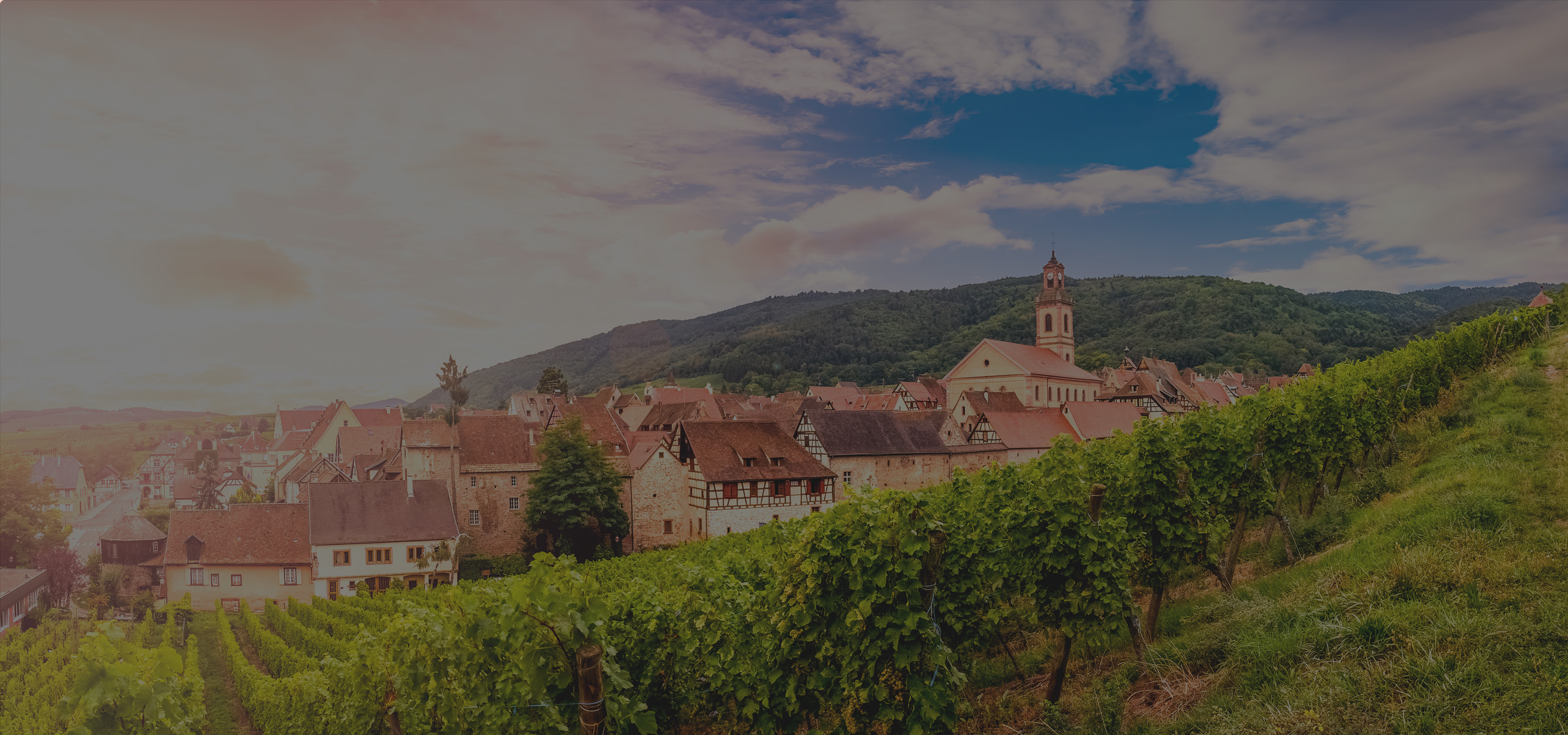 Bienvenue au marché de riquewihr